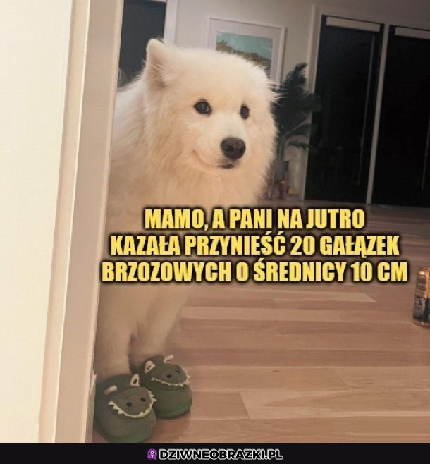 Informacja obowiązkowo o 22 ;P 