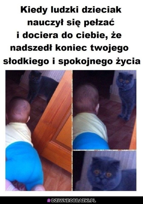 To przerażenie