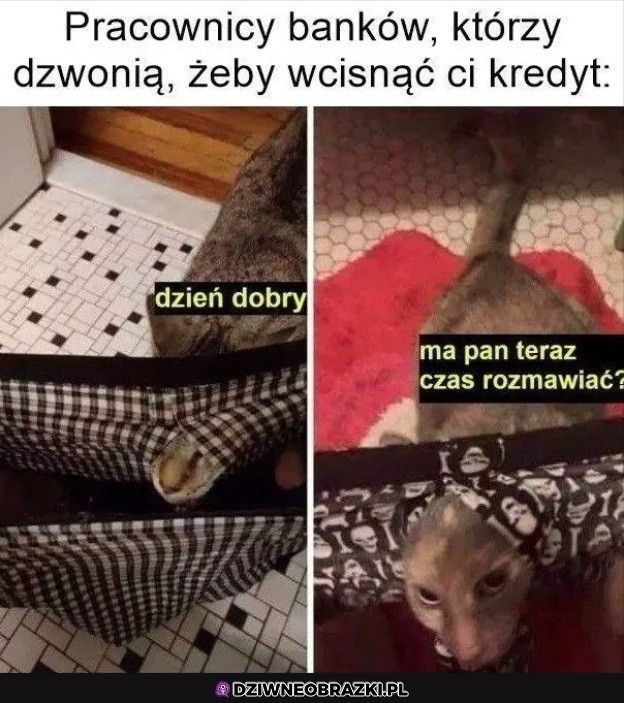 Zawsze z kredytem