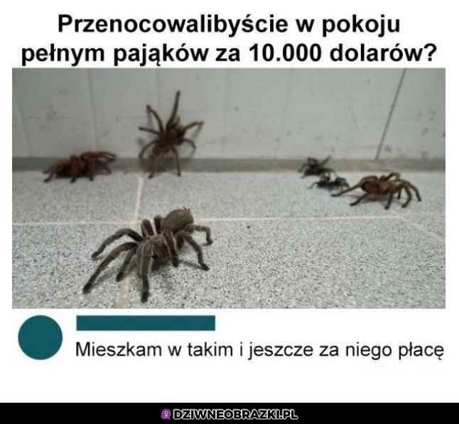 Kiedy mieszkasz w akademiku
