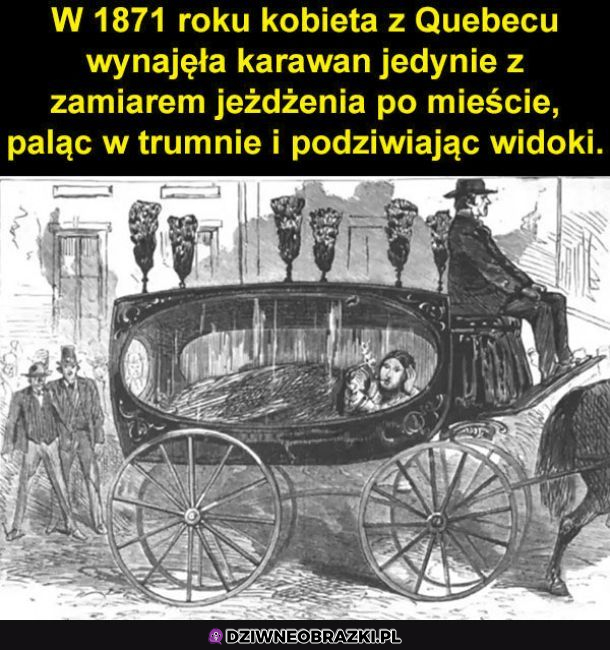 Miała pomysł