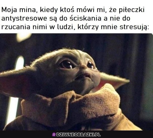 A więc tak to działa