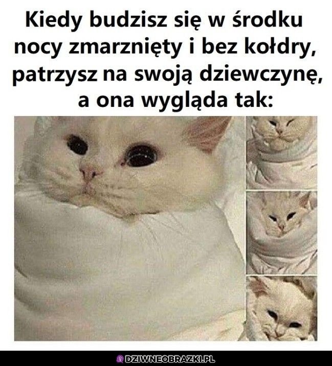 A więc to tak