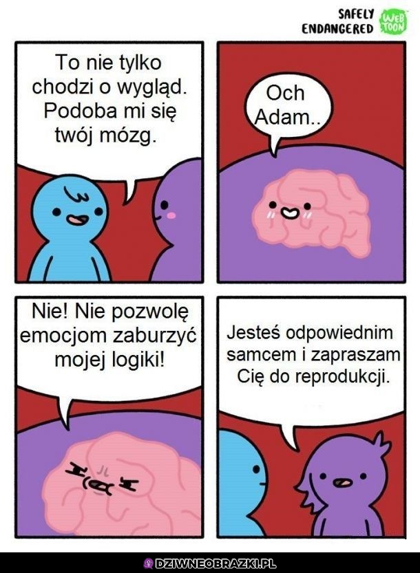 Rozsądna decyzja