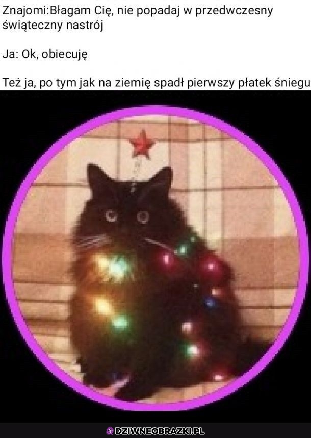 To ja