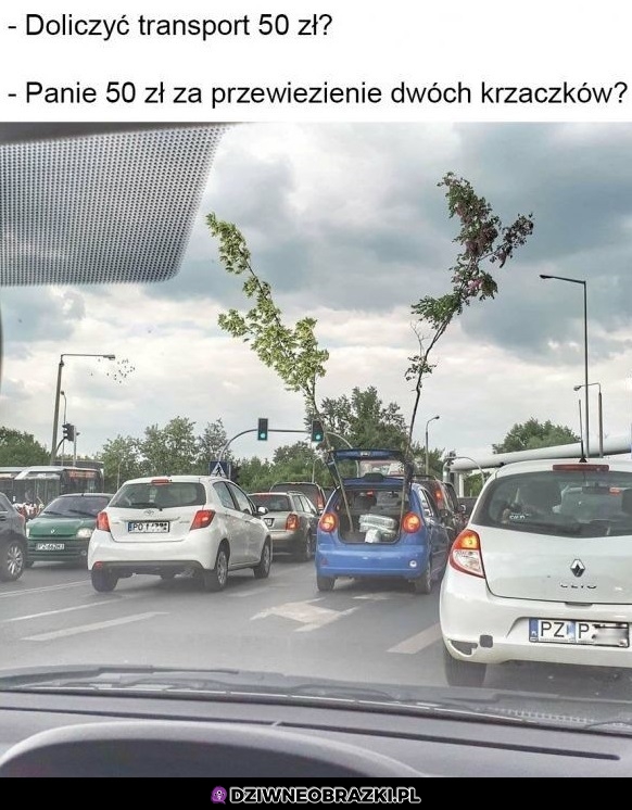 Ogarnę to sobie