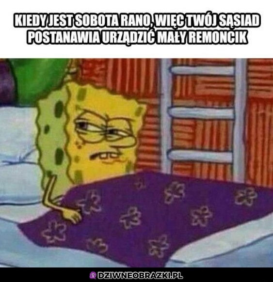 O ty mendo