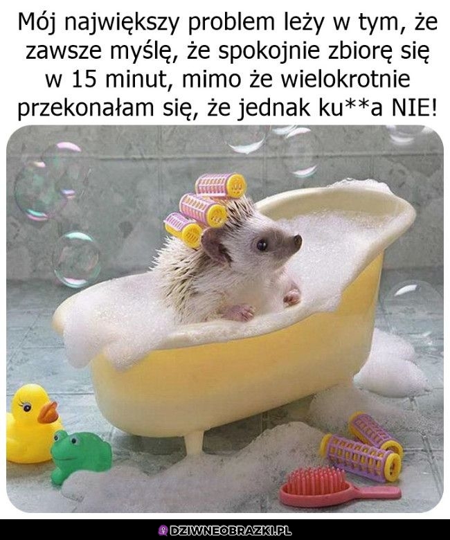 Zbieranie się