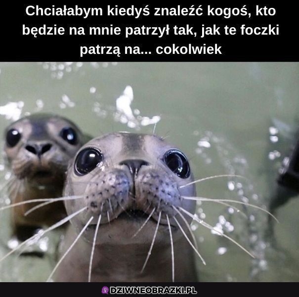 Byłoby fajnie