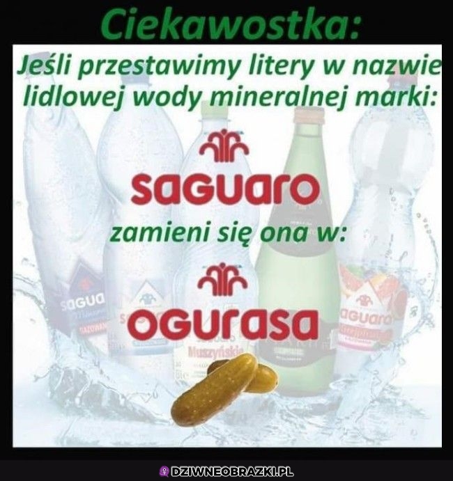 Ciekawostka