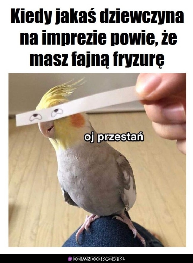 Fajny fryz!