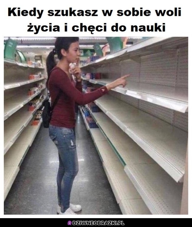 Szukam i szukam