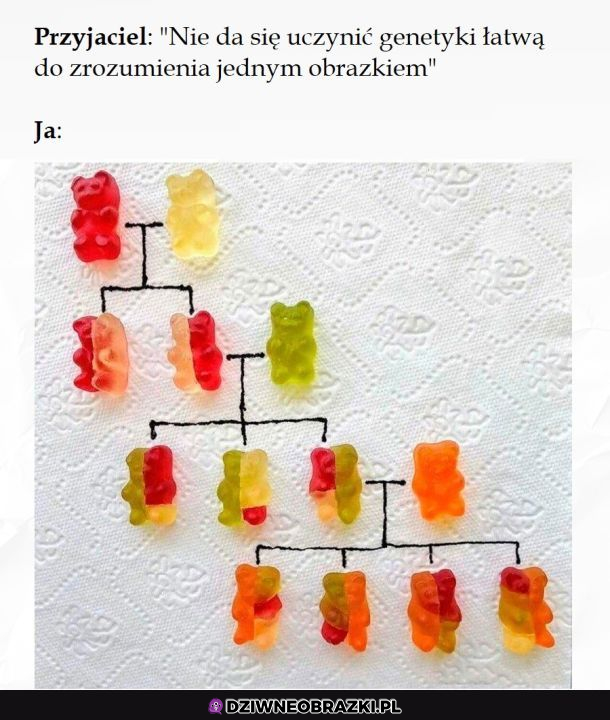 Łatwo