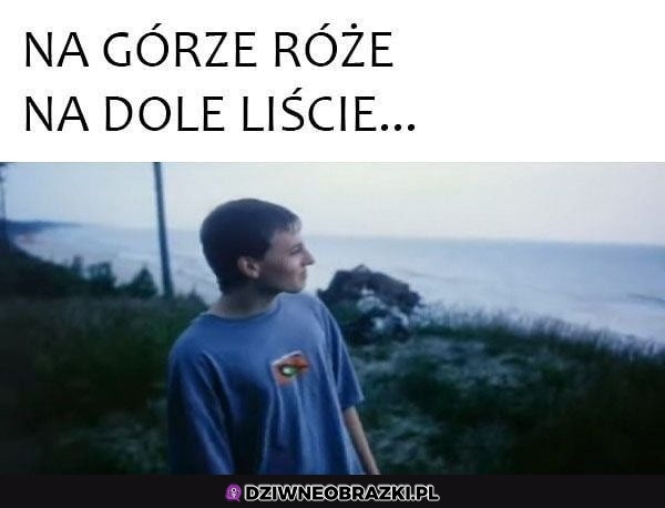 Wiesz jak to leci