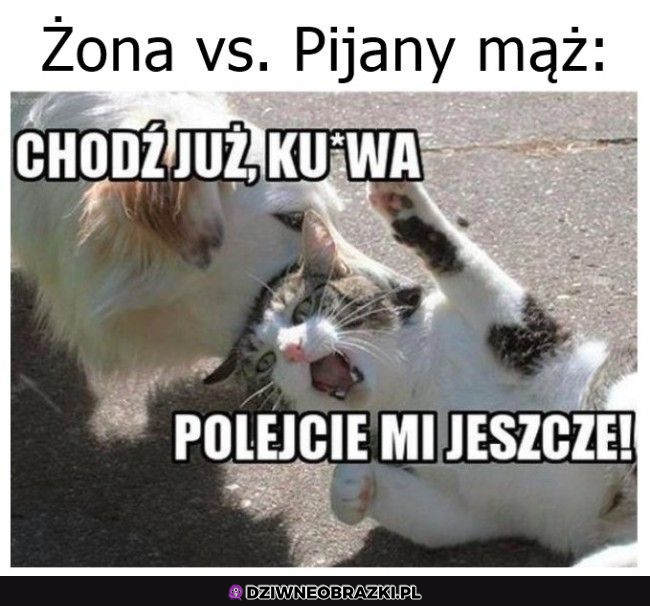 Powrót z imprezy