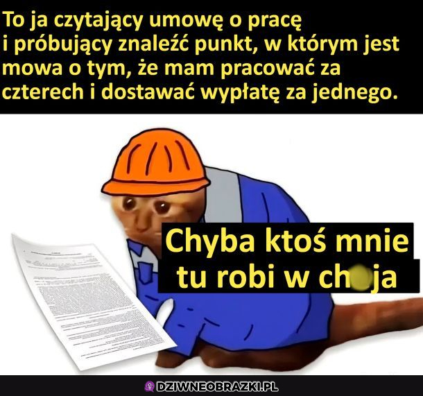 Umowa o pracę