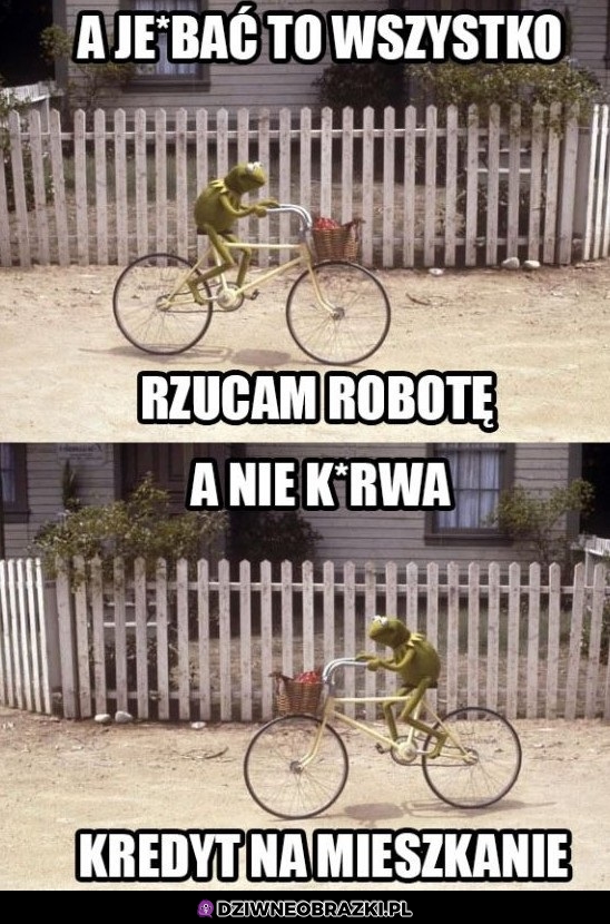 Jednak nie