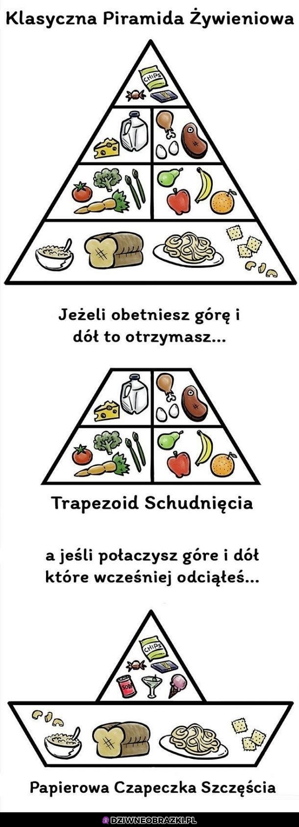 Piramidka żywienia