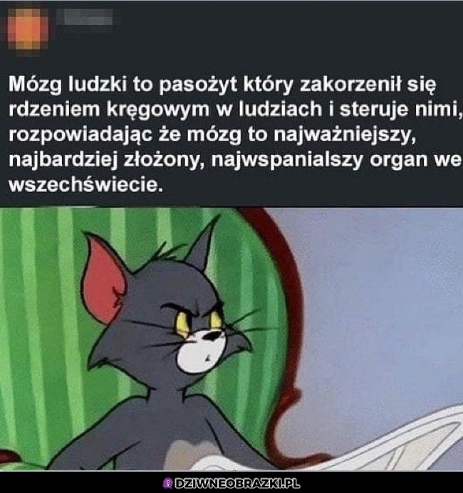 A co jeśli?