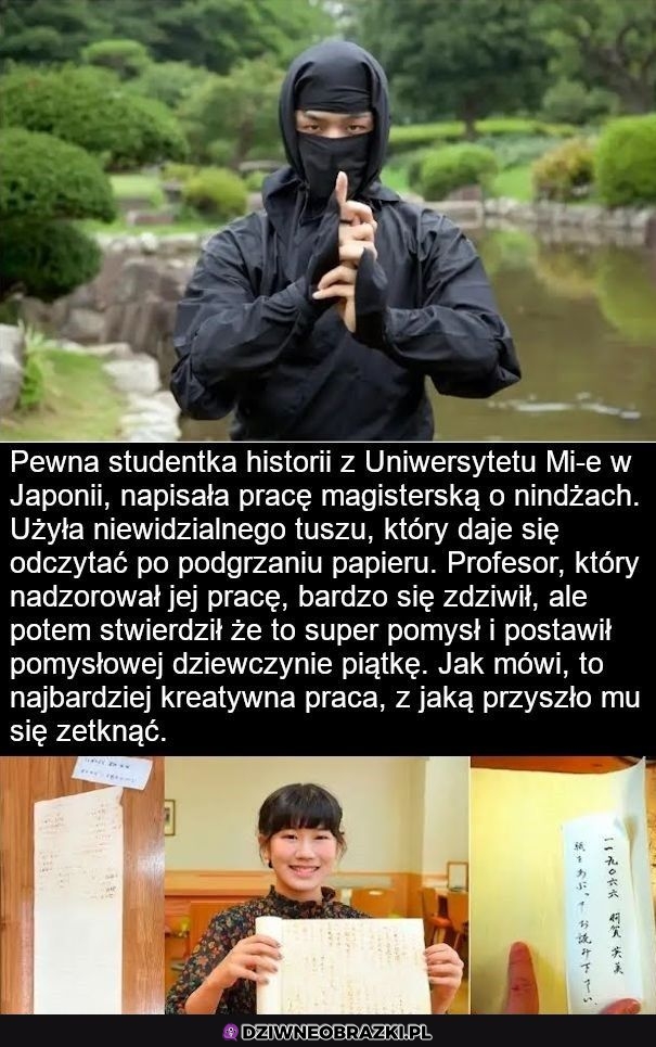 Kreatywnie