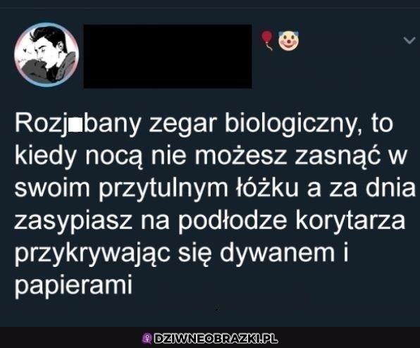 O to właśnie to
