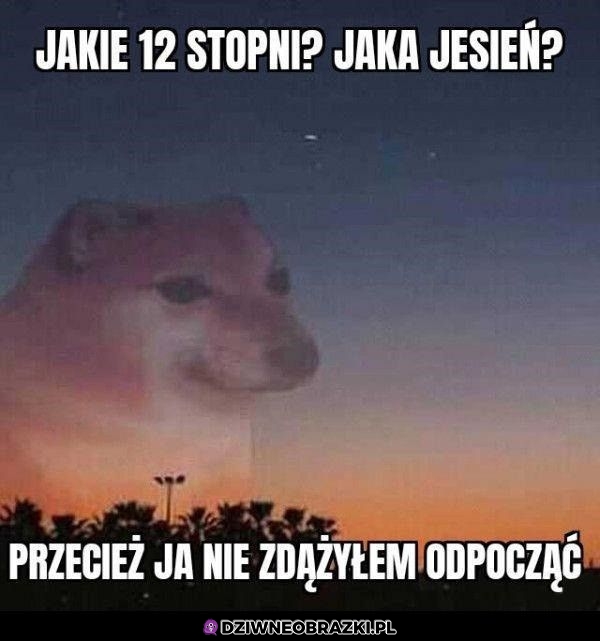 Może za rok się uda