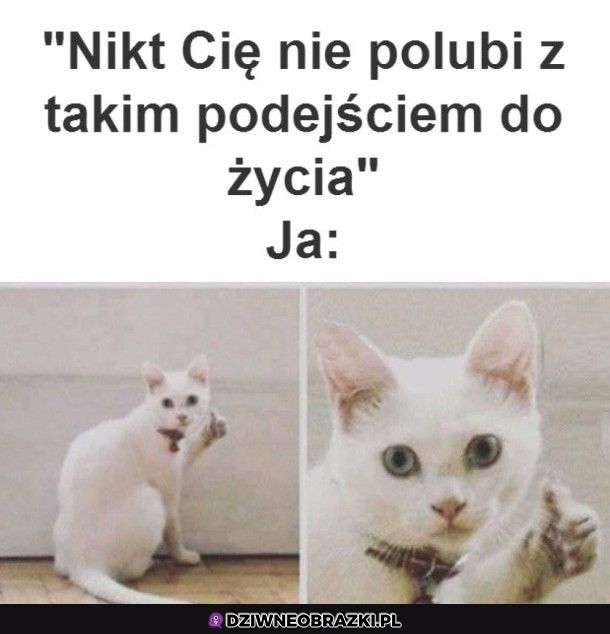 Spoczko
