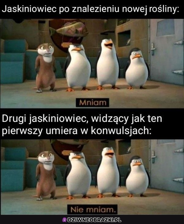 Kiedy znajdziesz nową roślinkę