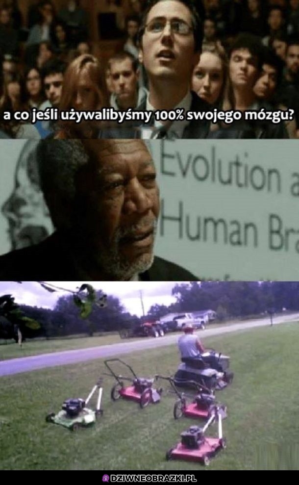 Używanie 100% mózgu