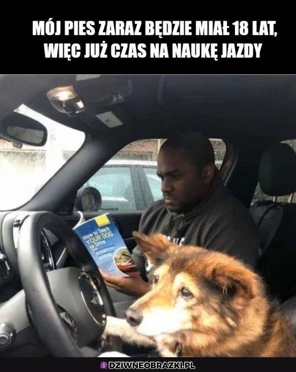Czas najwyższy