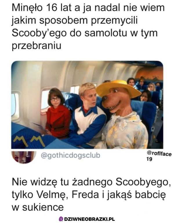 Scooby