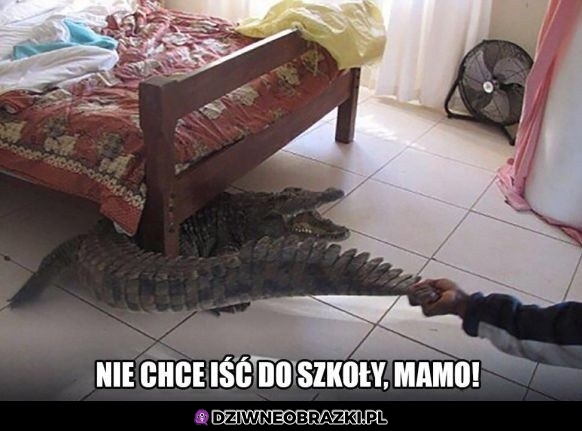 Nie chcę!