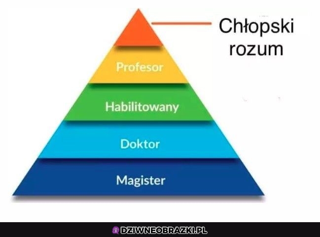 Najwyższy poziom