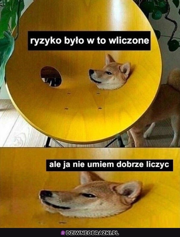 Ale było wliczone