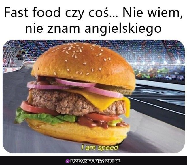 Czy to jest Zygzak? 