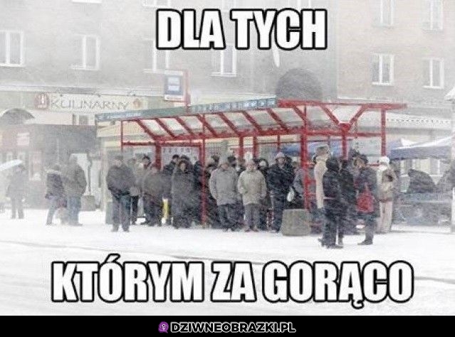 Przypominajka