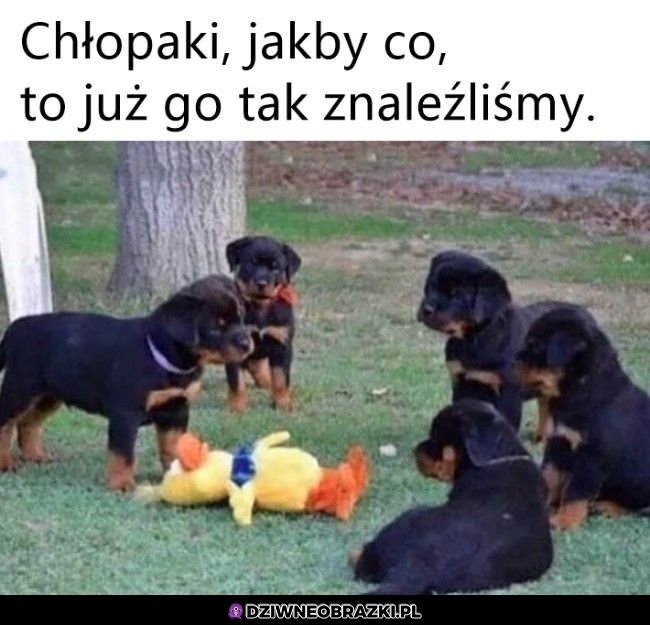 Tak było, jasne?