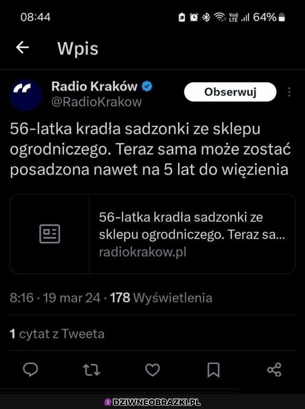 Sama stała się sadzonką 