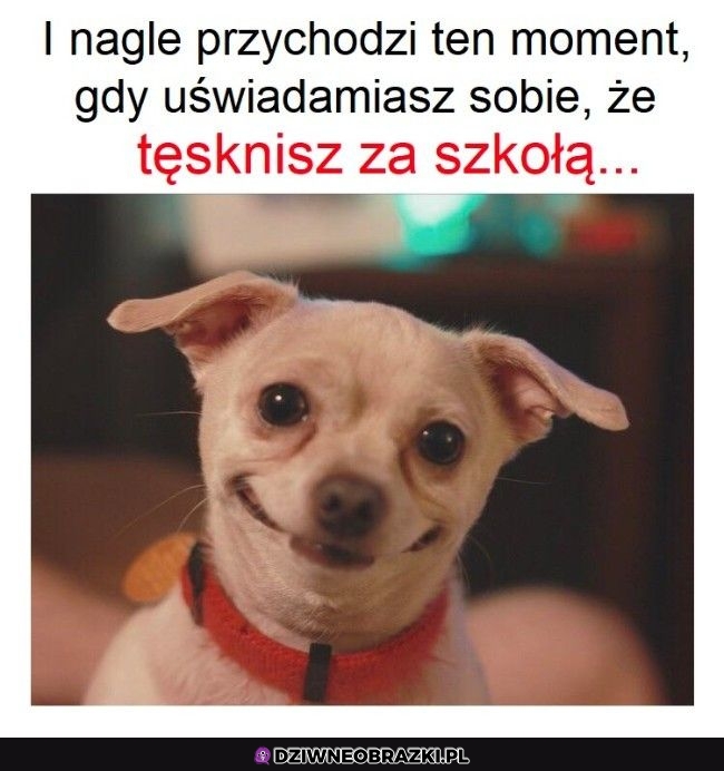 Ten moment