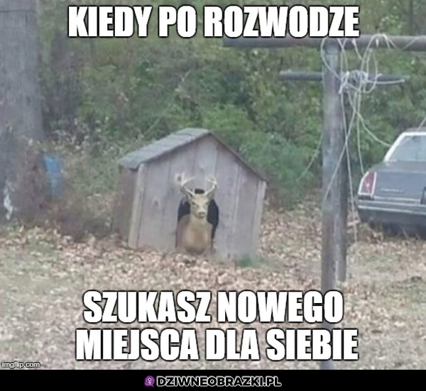 Po rozwodzie
