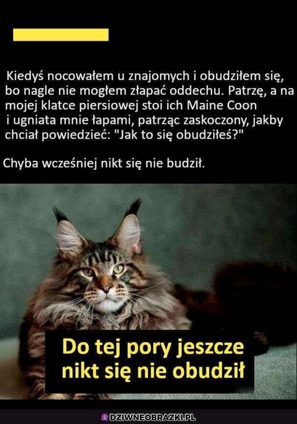 Kiedy chciałeś być niezauważony