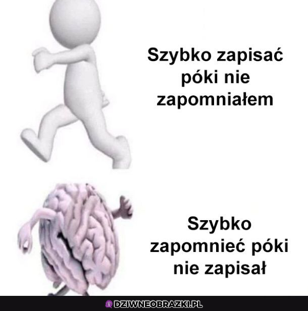 Jak działa mózg