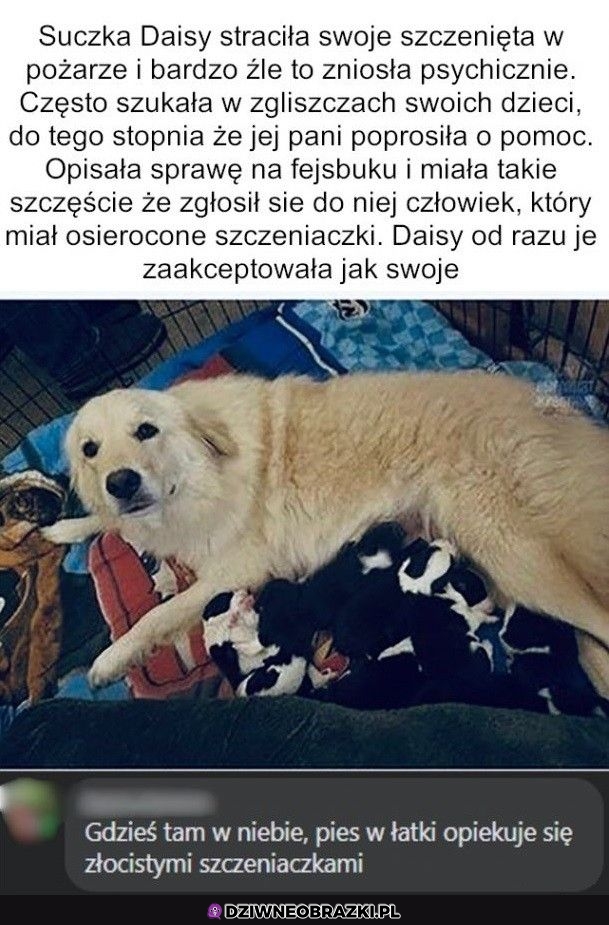 Można się rozkleić