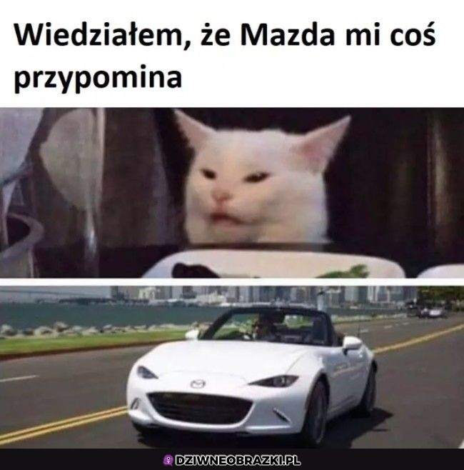 Podobni