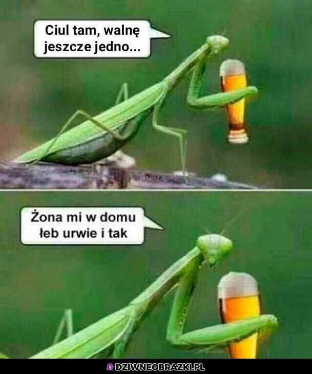 Co mi szkodzi