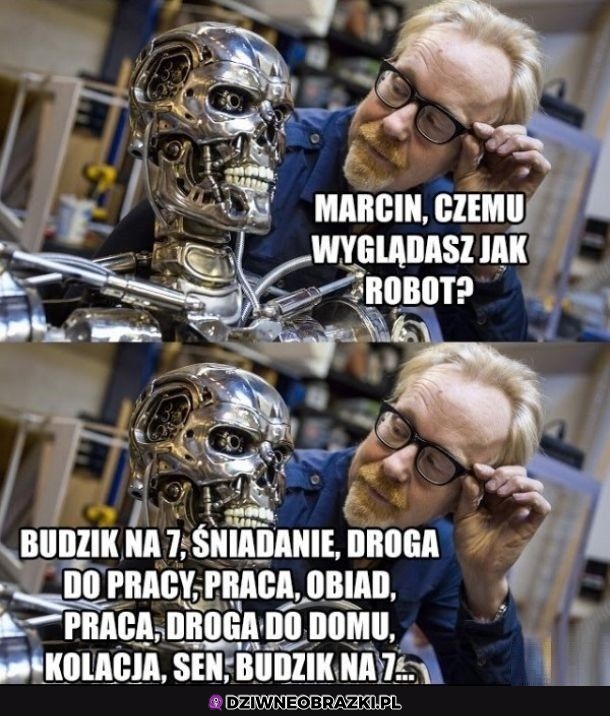 Bez kitu bez różnicy