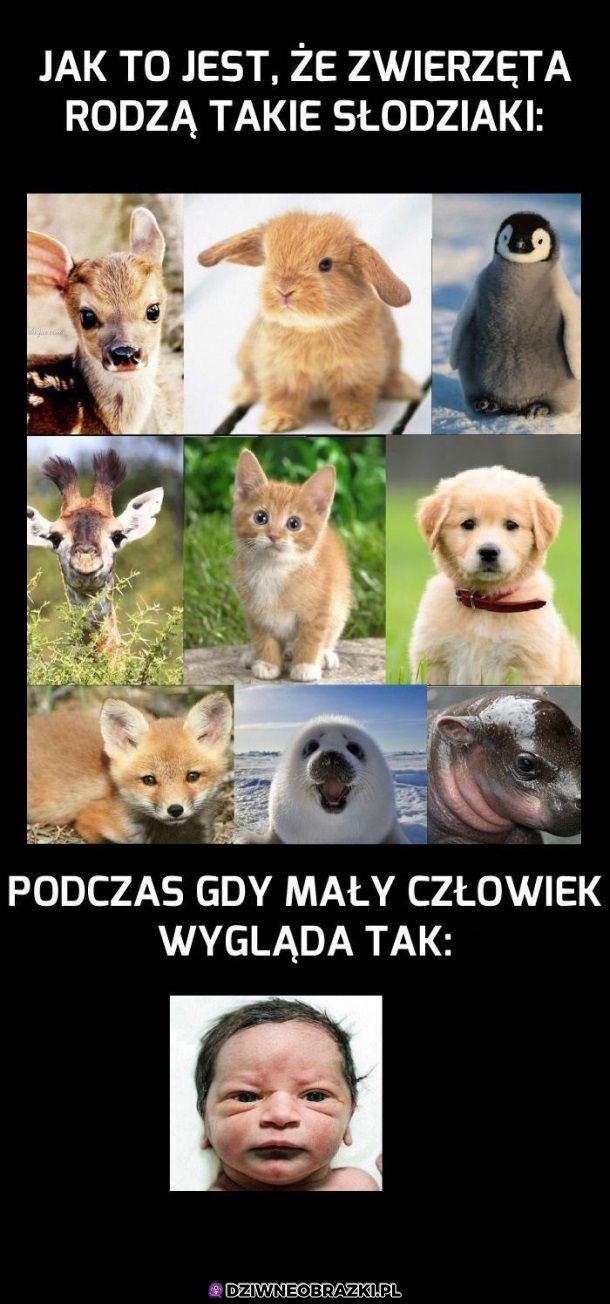 Najgorzej
