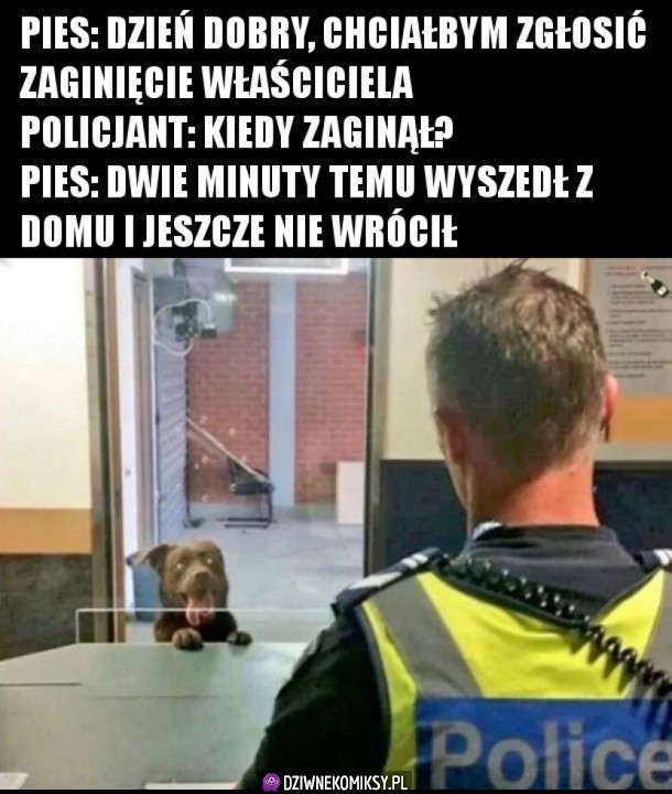 Przyjmujemy to zgłoszenie