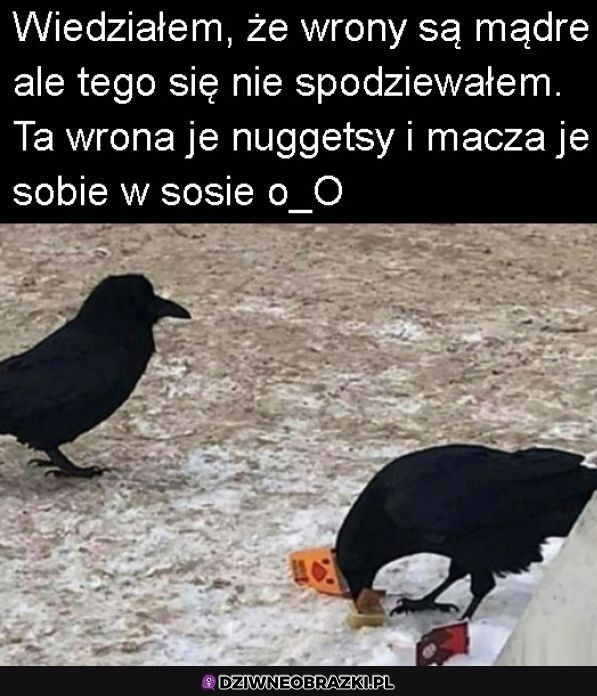 No co, lepiej smakuje