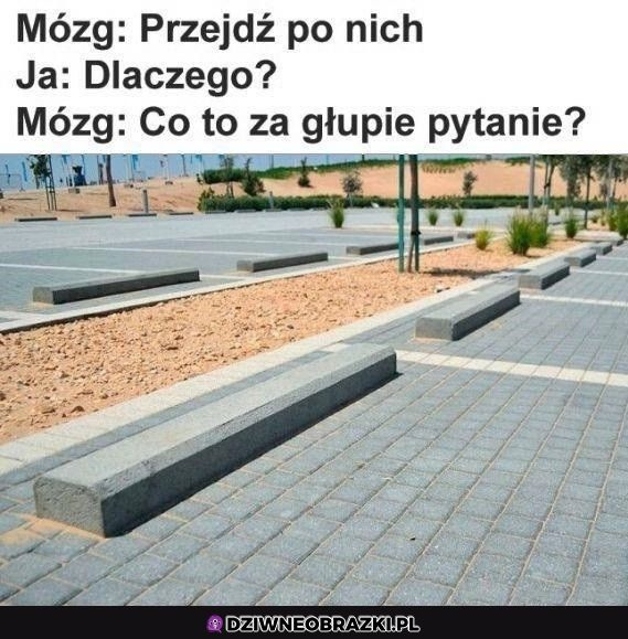 Zrób to